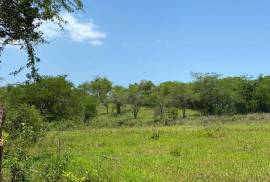 Development Land (Residential) for Sale in Black River