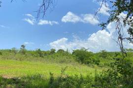 Development Land (Residential) for Sale in Black River