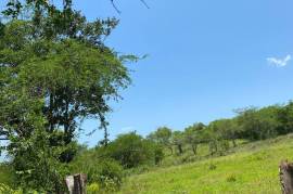 Development Land (Residential) for Sale in Black River