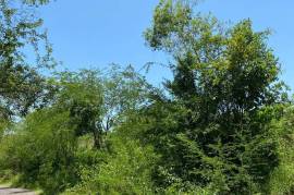 Development Land (Residential) for Sale in Black River