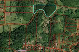 Development Land (Residential) for Sale in Browns Town  Leased