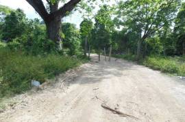 Development Land (Residential) for Sale in Browns Town  Leased