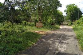 Development Land (Residential) for Sale in Santa Cruz