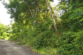 Development Land (Residential) for Sale in Santa Cruz