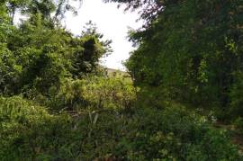 Development Land (Residential) for Sale in Santa Cruz