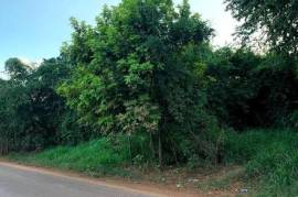 Development Land (Residential) for Sale in Pratville