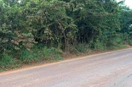 Development Land (Residential) for Sale in Pratville