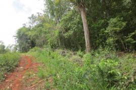 Development Land (Residential) for Sale in Cross Keys