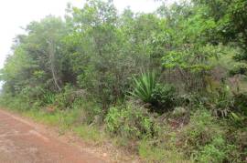 Development Land (Residential) for Sale in Cross Keys