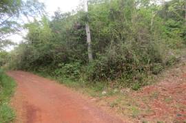 Development Land (Residential) for Sale in Cross Keys