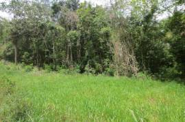 Development Land (Residential) for Sale in Cross Keys