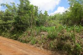 Development Land (Residential) for Sale in Cross Keys