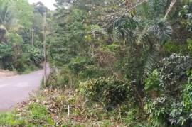 Development Land (Residential) for Sale in Gayle