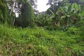 Development Land (Residential) for Sale in Gayle