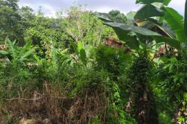 Development Land (Residential) for Sale in Gayle