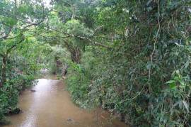 Development Land (Residential) for Sale in Gayle