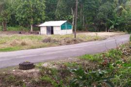 Development Land (Residential) for Sale in Gayle