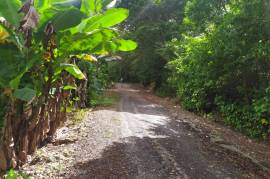 Development Land (Residential) for Sale in Gayle