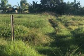 Development Land (Residential) for Sale in Savanna-La-Mar