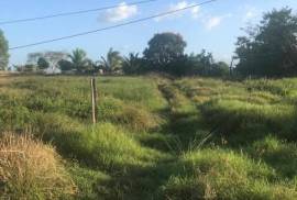 Development Land (Residential) for Sale in Savanna-La-Mar