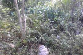 Development Land (Residential) for Sale in Annotto Bay