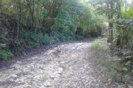 Development Land (Residential) for Sale in Annotto Bay