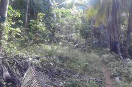 Development Land (Residential) for Sale in Annotto Bay