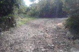 Development Land (Residential) for Sale in Annotto Bay