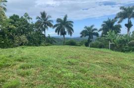 Development Land (Residential) for Sale in Highgate