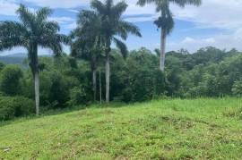 Development Land (Residential) for Sale in Highgate