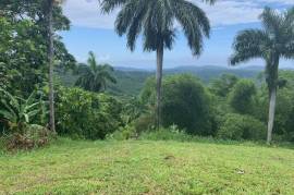 Development Land (Residential) for Sale in Highgate