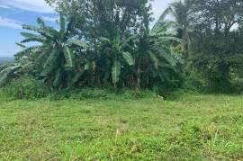 Development Land (Residential) for Sale in Highgate