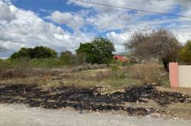 Development Land (Residential) for Sale in Morant Bay