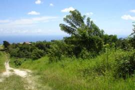 Development Land (Residential) for Sale in Lime Hall