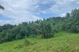 Development Land (Residential) for Sale in Highgate