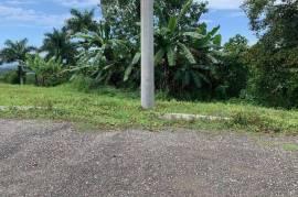 Development Land (Residential) for Sale in Highgate