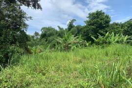 Development Land (Residential) for Sale in Highgate