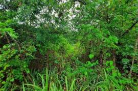 Development Land (Residential) for Foreclosure in Guanaboa Vale