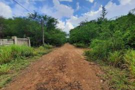 Development Land (Residential) for Foreclosure in Guanaboa Vale