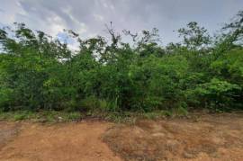 Development Land (Residential) for Foreclosure in Guanaboa Vale