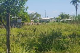 Development Land (Residential) for Sale in Savanna-La-Mar