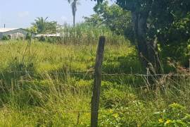 Development Land (Residential) for Sale in Savanna-La-Mar