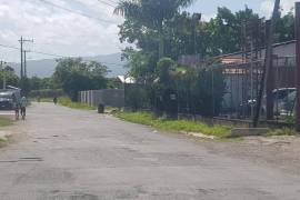 Development Land (Residential) for Sale in Savanna-La-Mar