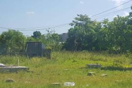 Development Land (Residential) for Sale in Savanna-La-Mar