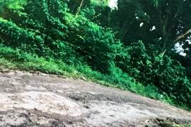 Development Land (Residential) for Sale in Bluefields