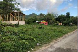 Development Land (Residential) for Sale in Bluefields