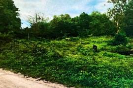 Development Land (Residential) for Sale in Bluefields