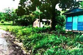 Development Land (Residential) for Sale in Bluefields