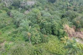 Development Land (Residential) for Sale in Highgate