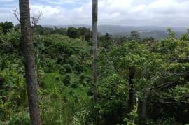 Development Land (Residential) for Sale in Highgate